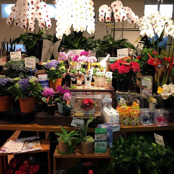 「加藤生花店」　（神奈川県秦野市）の花屋店舗写真1